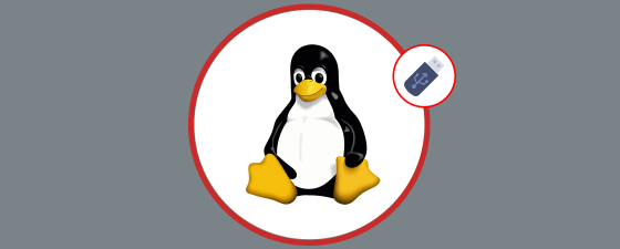 Descubiertas vulnerabilidades en Driver USB Linux