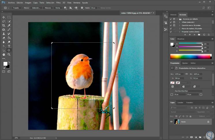 Redondear Imagen Y Hacer Cupon En Photoshop Cs6 Cc 2017 Solvetic